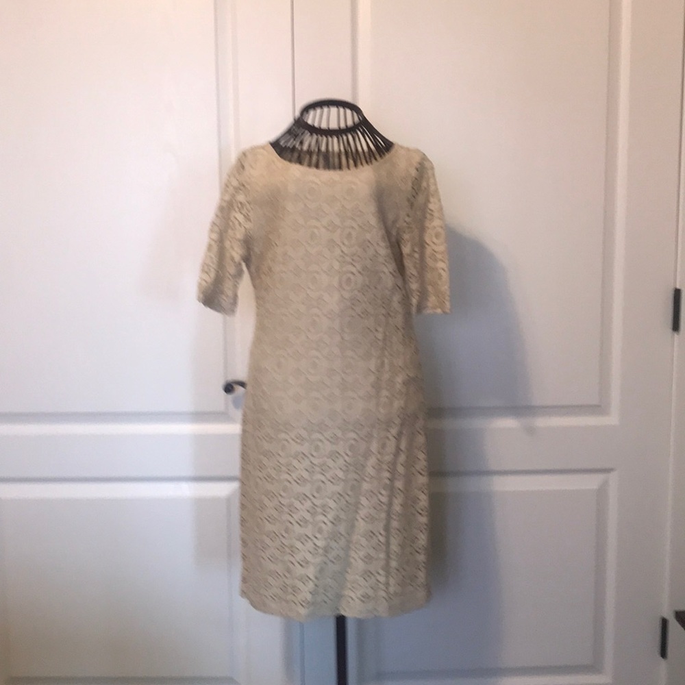 Banana Republic Taupe Lace
